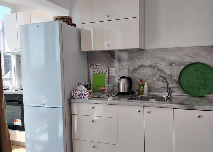 Level 5 부르가스